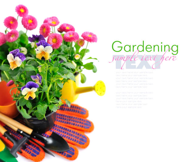 istock Gardening tools and spring flowers on a white background 1201126660