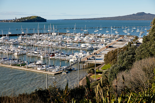 Scenes from Okahu Bay in Auckland in 2018