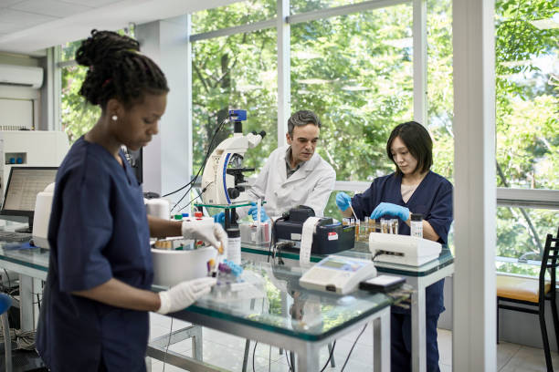 мужской патологоанатом и женщины-техники, работающие в лаборатории - blood sample blood tube pathologist стоковые фото и изображения