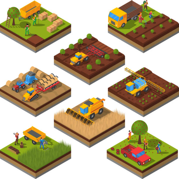 agricultural machines isometric field Isometric set with isolated plates of fields and agricultural machines harvesting and people cropping vector illustration tractor illustrations stock illustrations