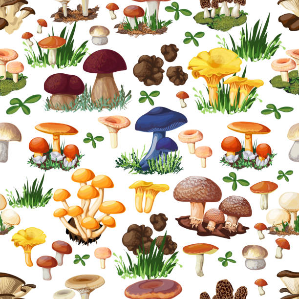 illustrazioni stock, clip art, cartoni animati e icone di tendenza di fungo modello senza soluzione di continuità - honey agaric