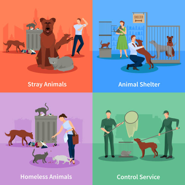 852 Stray Dogs Illustrations & Clip Art - iStock | Pack of stray dogs, Stray dogs india, Stray dogs and cats 852 Stray Dogs Illustrations & Clip Art - iStock | Pack of stray dogs, Stray dogs india, Stray dogs and cats