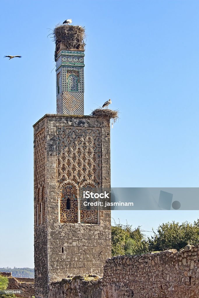 Kellah tower Storks and Ruins of the ancient necropolis of Kellah (Chellah) in the city of Rabat, Morocco. Africa Stock Photo