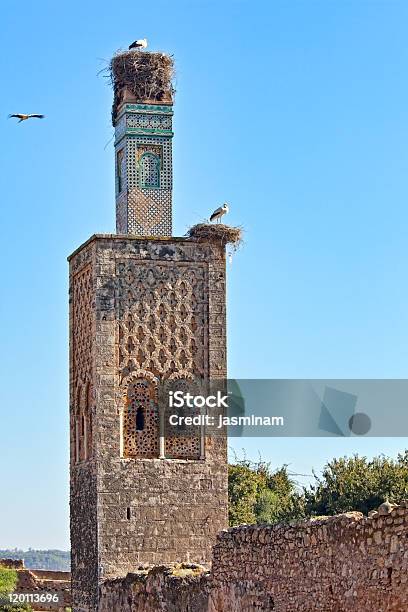 Kellah Tower Stock Photo - Download Image Now - Africa, Ancient, Animal Nest