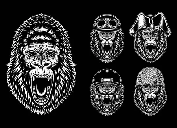 Vector illustration of Collection Of Angry Gorilla Characters
