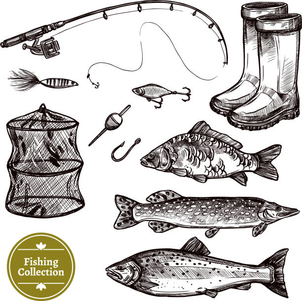 200+ Minnow Drawing Stock Illustrations, Royalty-Free Vector