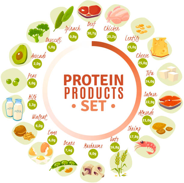 ilustraciones, imágenes clip art, dibujos animados e iconos de stock de conjunto de productos proteicos - protein concentrate