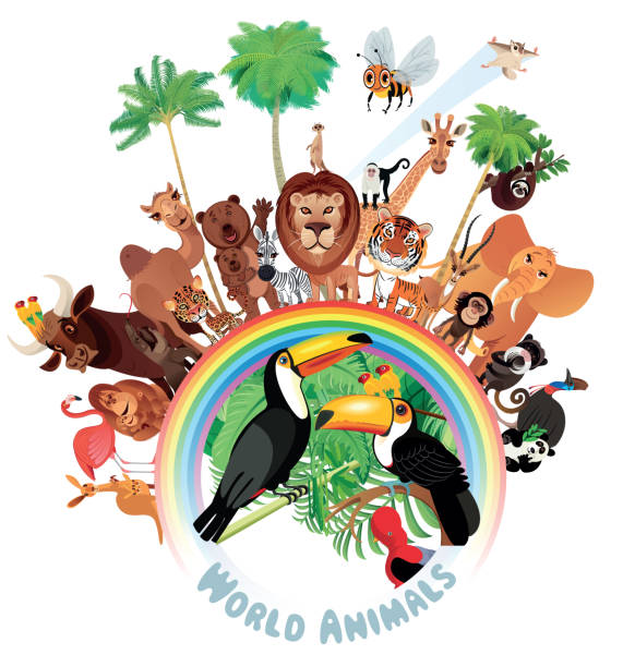 Animals and Rainbow Vector Animals World rainbow toucan stock illustrations