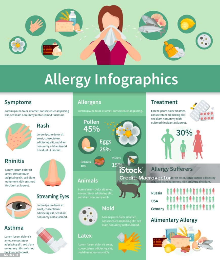 Allgey Allergy Infographics Stock Illustration - Download Image Now - Allergy ...
