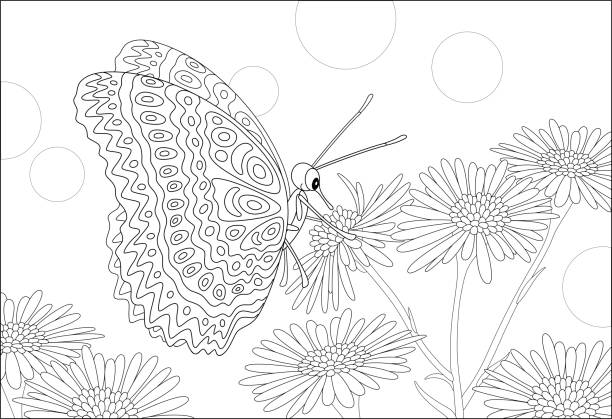 ilustrações de stock, clip art, desenhos animados e ícones de ornate butterfly drinking flower nectar - summer backgrounds line art butterfly