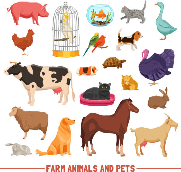 illustrations, cliparts, dessins animés et icônes de ensemble d'animaux de ferme et d'animaux de compagnie - hamster cage birdcage isolated