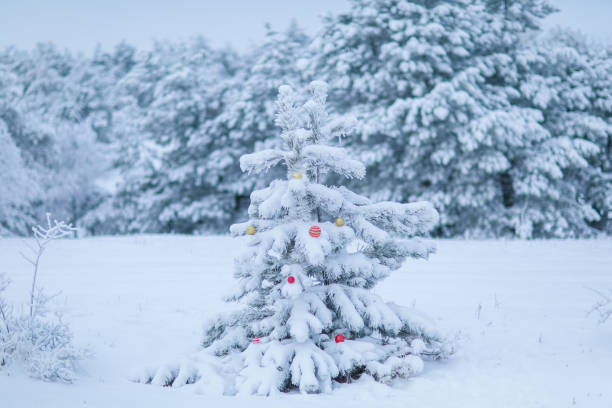 istock Dense winter forest without traces of civilization. A solid white blanket of snow 1201141698