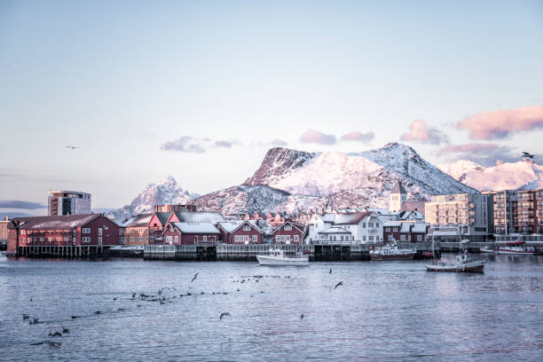 Svolvaer harbor at the Lofoten islands in Northern Norway during winter sunrise View on Svolvaer on the Lofoten islands in Northern Norway during a beautiful sunrise at the start of a cold winter day. Svolvaer is an important fishing port, but is becoming more and more a tourist town during summer and winter. harbor of svolvaer in winter lofoten islands norway stock pictures, royalty-free photos & images