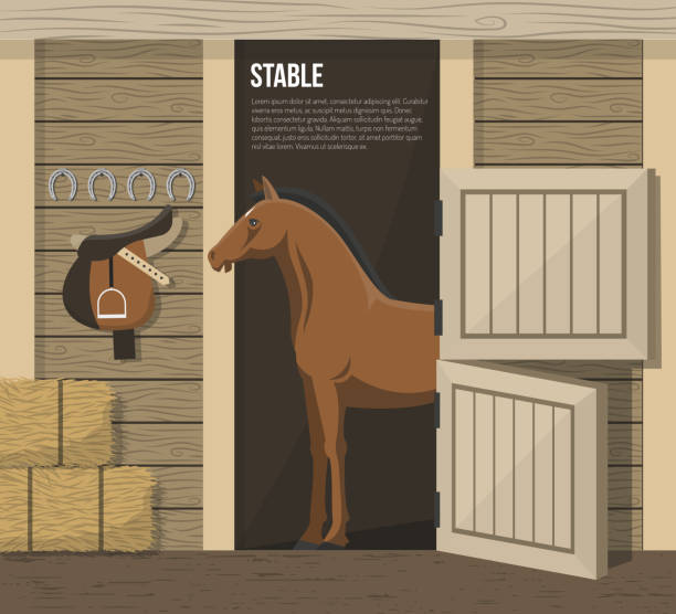 ilustraciones, imágenes clip art, dibujos animados e iconos de stock de raza de caballo ilustración - horse stall stable horse barn