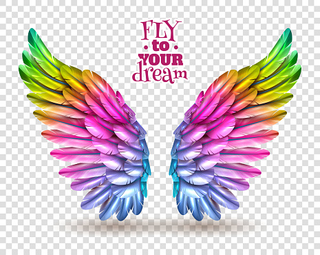 Pair of colorful bird wings set isolated on transparent background with shadow flat vector illustration