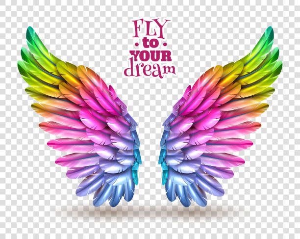 color bird wing transparent set Pair of colorful bird wings set isolated on transparent background with shadow flat vector illustration animal limb stock illustrations