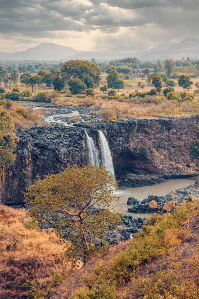 Blue Nile Falls in Bahir Dar, Ethiopia Blue Nile Falls in dry season with evenin dramatic sky. Ethiopia wilderness, Amhara Region, near Bahir Dar and Lake Tana blue nile stock pictures, royalty-free photos & images