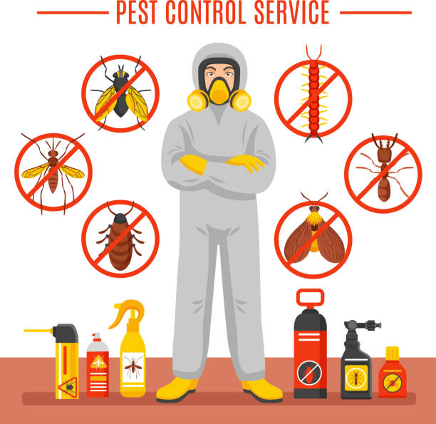 ilustrações, clipart, desenhos animados e ícones de ilustração de insetocontrole de pragas - service pest insect fly