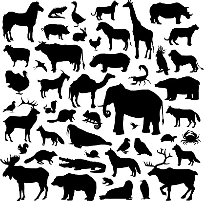 Wild and domestic animals and birds living in various climatic zones big black silhouette set isolated on white background vector illustration