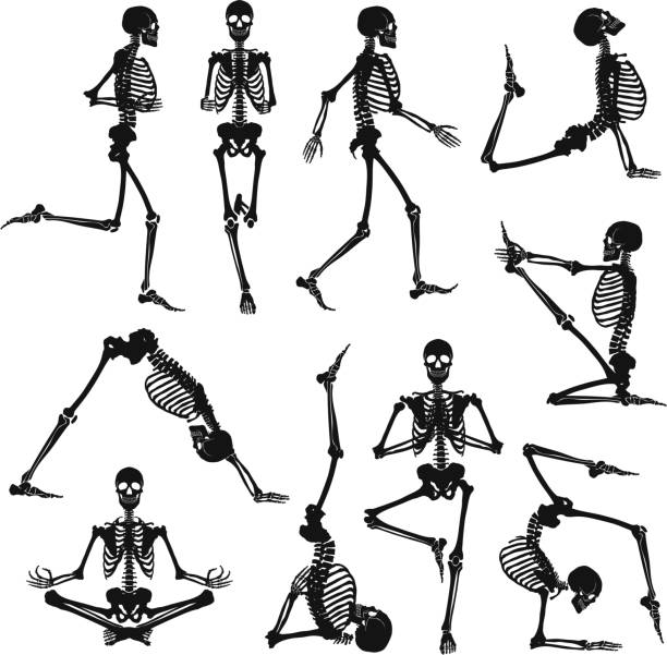 ilustrações de stock, clip art, desenhos animados e ícones de human skeleton black bachground - lumbar vertebra