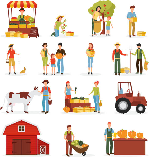 가을 수확 농장 사람들 세트 - farm pumpkin autumn farmer stock illustrations