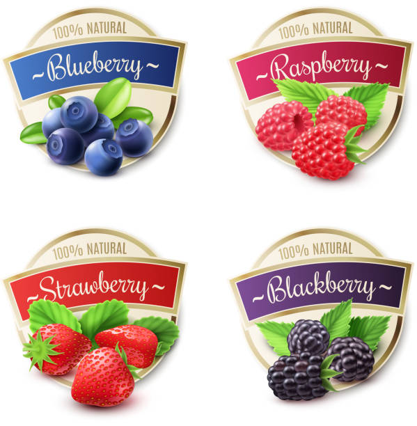 label berry eco Berry labels realistic set with strawberry and blueberry isolated vector illustration jam stock illustrations