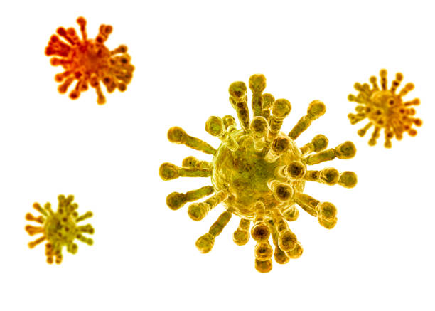 istock Microscopic view of Coronavirus, a pathogen that attacks the respiratory tract. Sars. Contagion, propagation. Flu. Infectious disease 1201148682