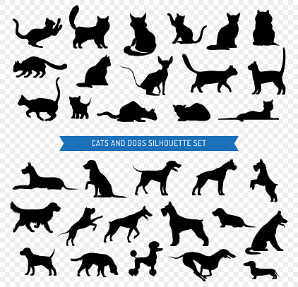 Black silhouette set of different breeds of dogs and cats on transparent background isolated vector illustration