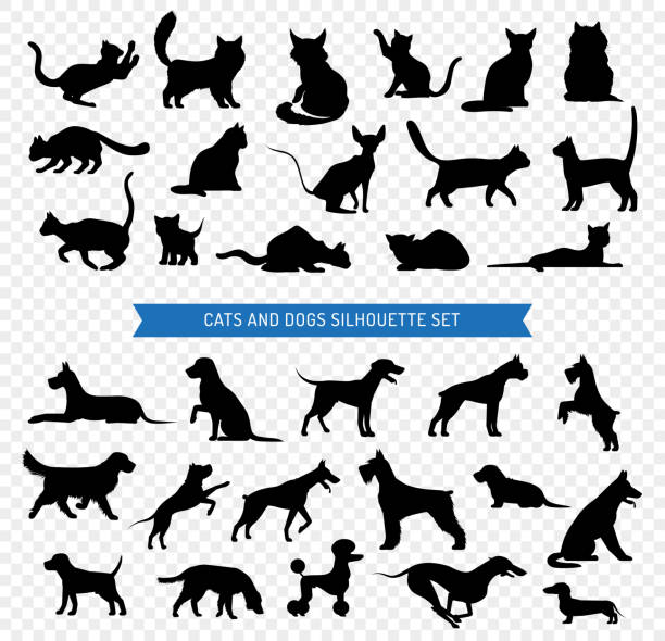 dogs cats black silhouette set Black silhouette set of different breeds of dogs and cats on transparent background isolated vector illustration dog sitting vector stock illustrations