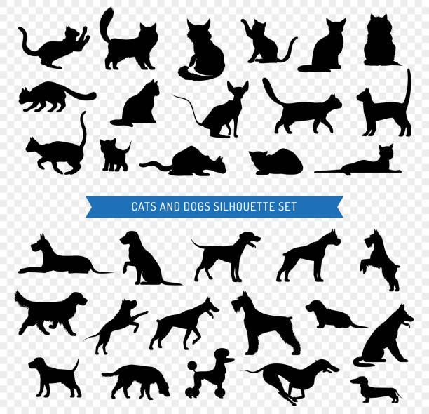 dogs cats black silhouette set Black silhouette set of different breeds of dogs and cats on transparent background isolated vector illustration playful set stock illustrations