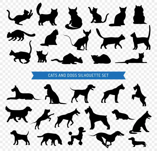 Vector illustration of dogs cats black silhouette set