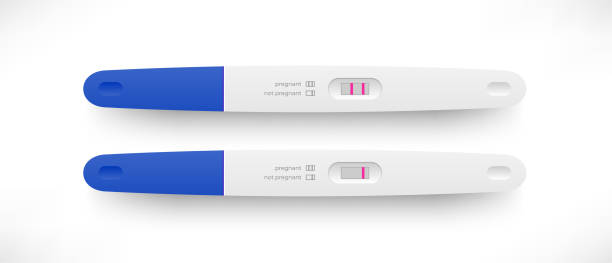 Pregnancy or ovulation positive and negative test Pregnancy or ovulation positive and negative test with shadow top view isolated on white background. Female reproductive, planning of pregnancy concept. Vector illustration for banner, website, ad family planning stock illustrations