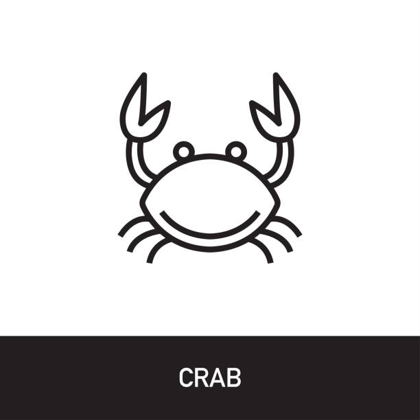 게 윤곽선 아이콘 디자인 - computer icon symbol sea life prepared crab stock illustrations