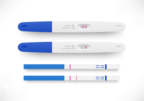 ilustraciones, imágenes clip art, dibujos animados e iconos de stock de conjunto de pruebas negativas positivas de embarazo u ovulación - prueba de embarazo