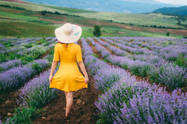 istock Young joyful woman in lavender field 1201152753