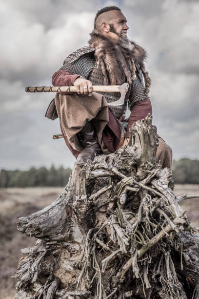 istock A individual viking warrior in the countryside 1201156159