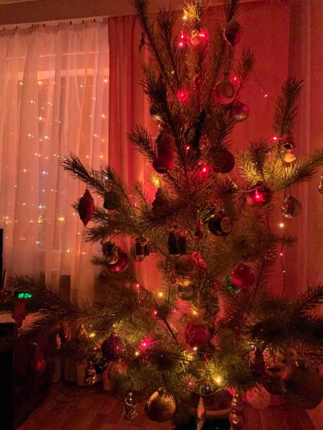 istock Ukraine Poltava New Year 1201156270