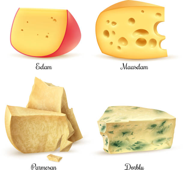 ilustrações de stock, clip art, desenhos animados e ícones de cheese realistic - parmesan cheese