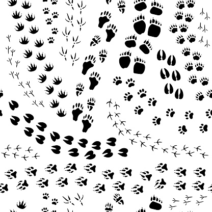 Flat design monochrome seamless pattern with various animals and birds tracks on white background vector illustration
