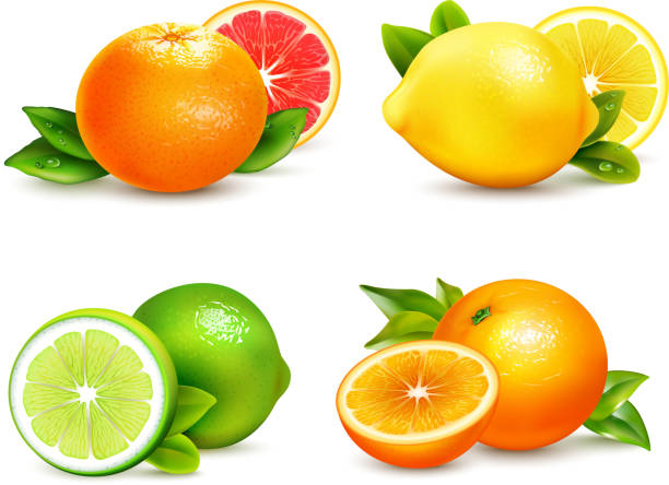 citrus set Fresh citrus fruits whole and halves 4 realistic icons square with orange grapefruit lemon isolated vector illustration citrus stock illustrations