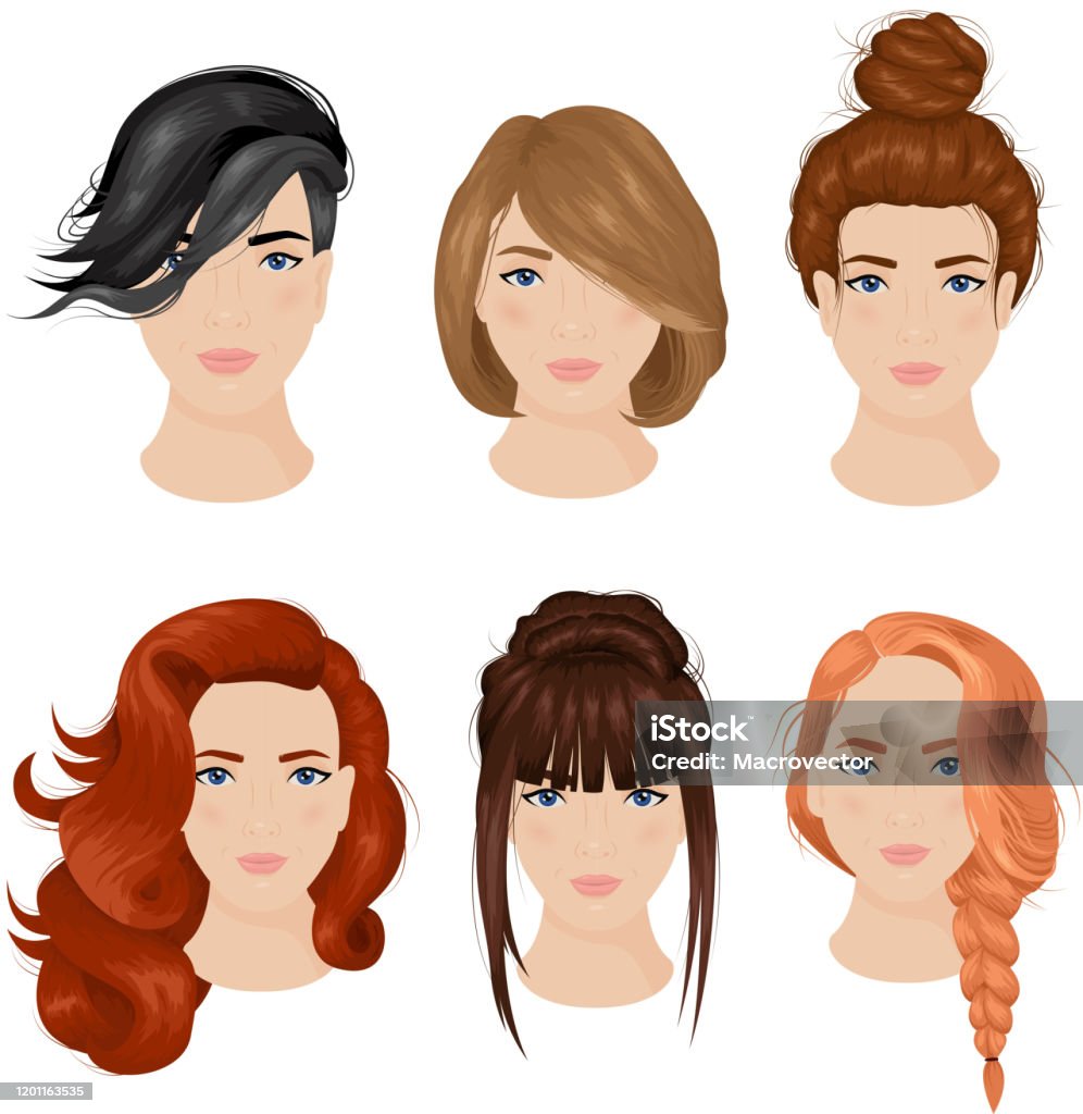 Female Hairstyle Front Stock Illustration - Download Image Now - Hair Bun,  Hairstyle, Women - iStock