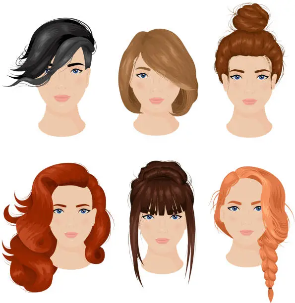 Vector illustration of female hairstyle front