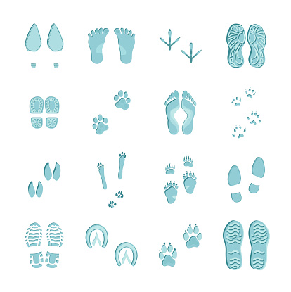 Ice blue color footprints on white background set with imprints of various footwear and paws vector illustration