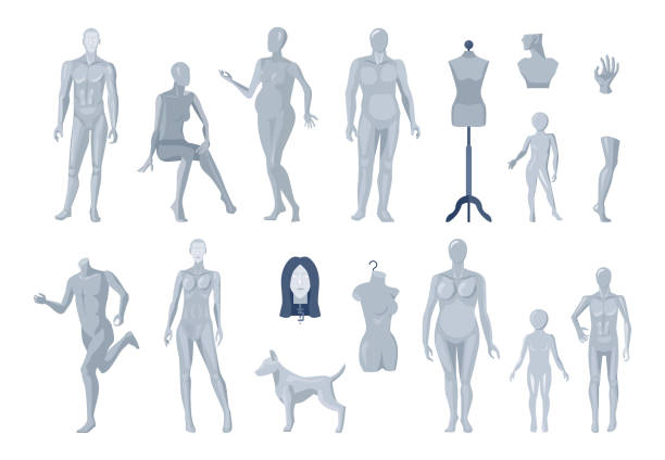 マネキンクワーティ - mannequin dressmakers model male torso点のイラスト素材／クリップアート素材／マンガ素材／アイコン素材