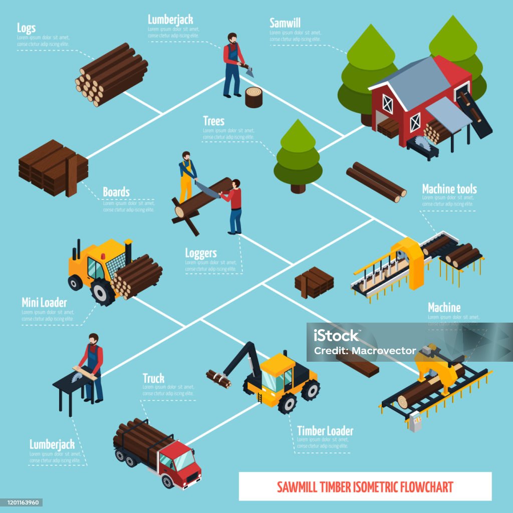 Basic Timber Dispatch Process Flowchart Example Sawmill Timber Isometric Flowchart Stock Illustration - Download Image ...