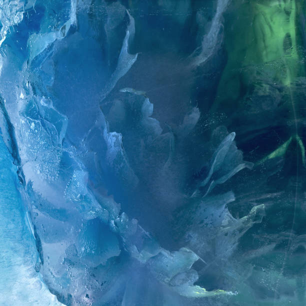istock Background of blue  peony  flower    in ice   cube with air bubbles. 1201163962