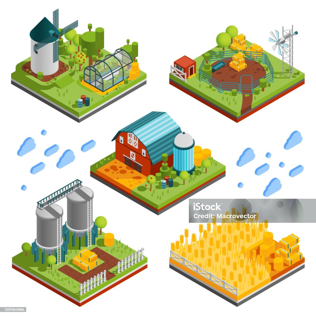 Isometric Rural Area Farm Rural Buildings Isometric Compositions Stock Illustration ...