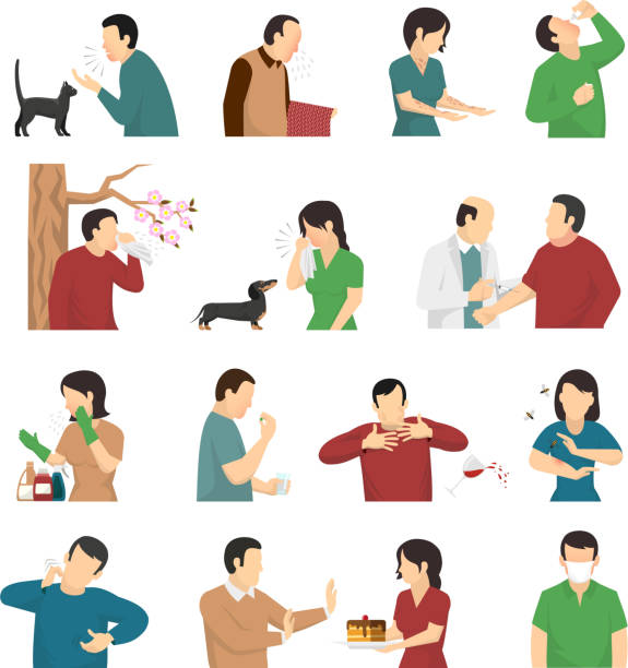 ilustraciones, imágenes clip art, dibujos animados e iconos de stock de conjunto de alergias - scratching dog skin condition allergy