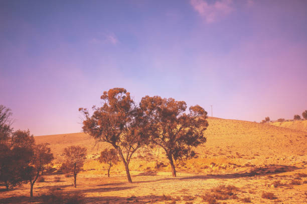 istock Landscape with trees in desert at sunrise. Israel 1201166480