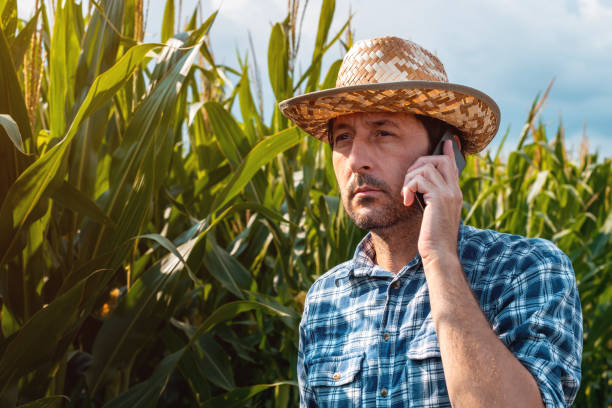 istock Corn farmer talking on mobile phone on crop plantation 1201167888